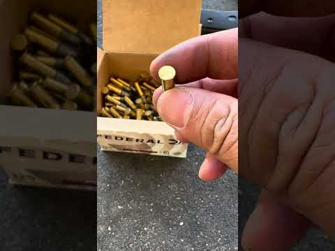 Aguila vs. Federal vs. CCI: Ruger 10/22 test