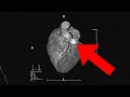God S Revelation To The Human Heart