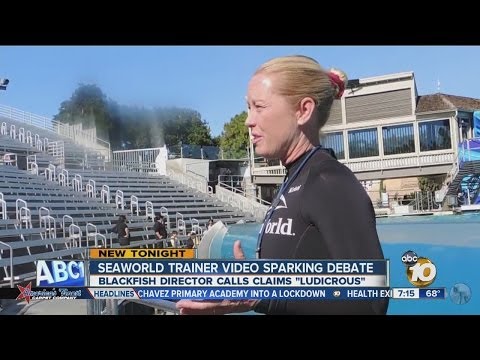 Blackfish director responds to SeaWorld trainer interview