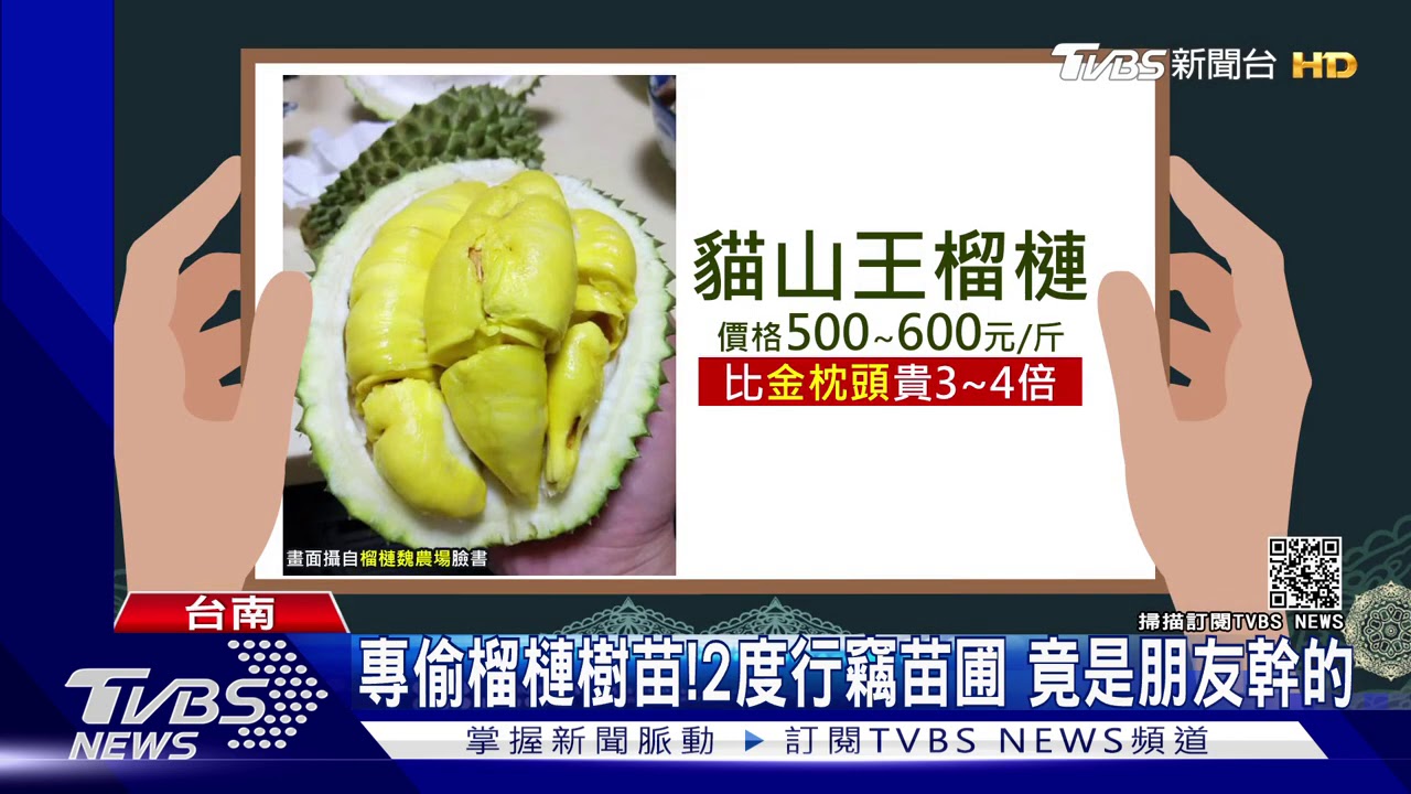 專偷榴槤樹苗！2度行竊苗圃　竟是朋友幹的