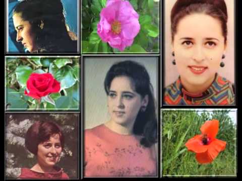 Biserka Mišić  Noć je duga