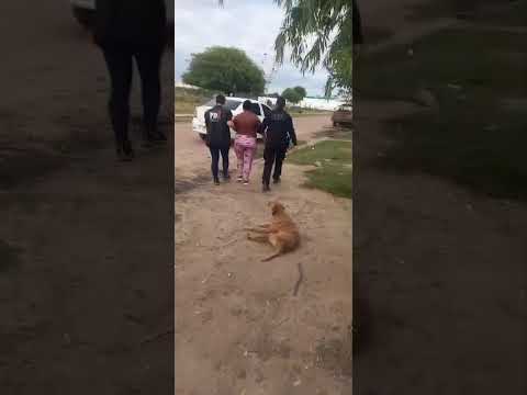 Allanamientos en Fortín Olmos