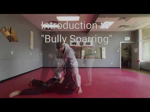 Introduction to "Bully Sparring"
