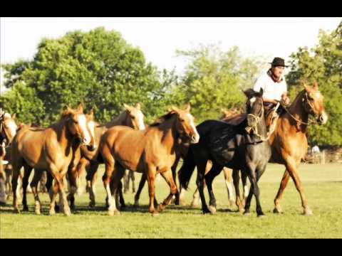 El cencerro de la mora - Carlos Ramon Fernandez