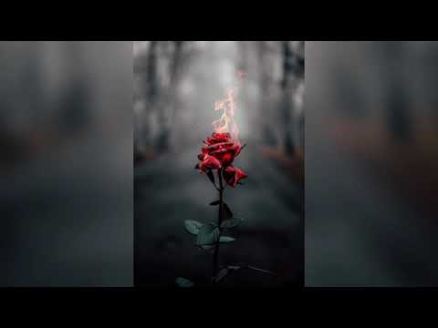 Eminem, Offset, Tyga, Metro Boomin - "Ric Flair Drip x Dubai Drip" Nitin Randhawa Remix