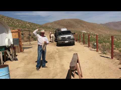 Roping Shots - It’s all in the wrist