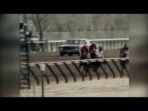Andy and the Mig - 1976 Wood Memorial