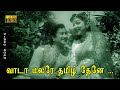 வாடா மலரே தமிழ் தேனே பாடல் HD சிவாஜி கண�