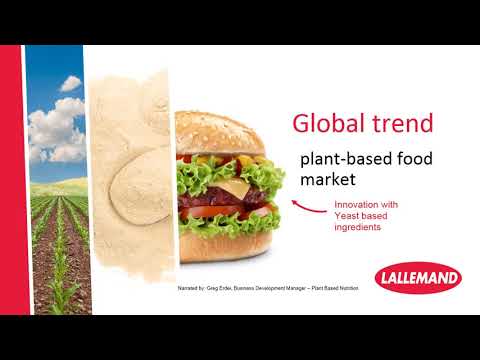 Plant Based innovation with yeast based ingredients - FIE CONNECT 2020 -  Savory