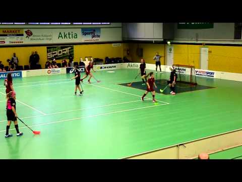 Tiikerit vs D-tytöt Säihke 17.1.2015