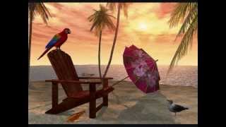 Mexican Minutes-Jim Messina