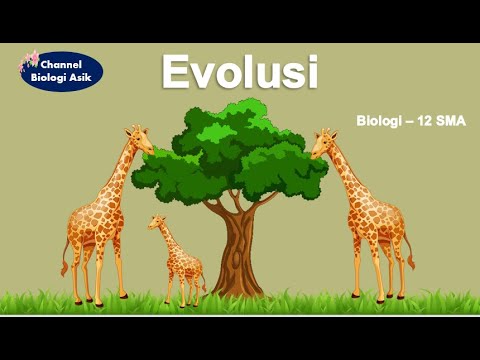 Evolusi - Biologi kelas 12 SMA