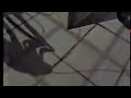 1988 Raid Commercial