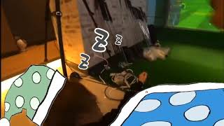 すやすや寝とけよ釈迦.mp4