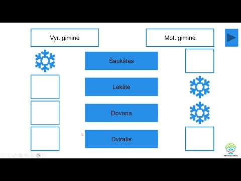 Interaktyvus rūšiavimo šablonas (Nr. 229)