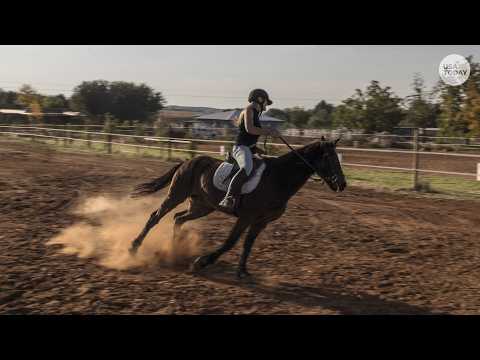 Teenage girl charged in stabbing of horses at Las Vegas barrel racing event