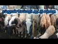 ஆட்டு சந்தை தகவல் சமயபுரம் Shorts