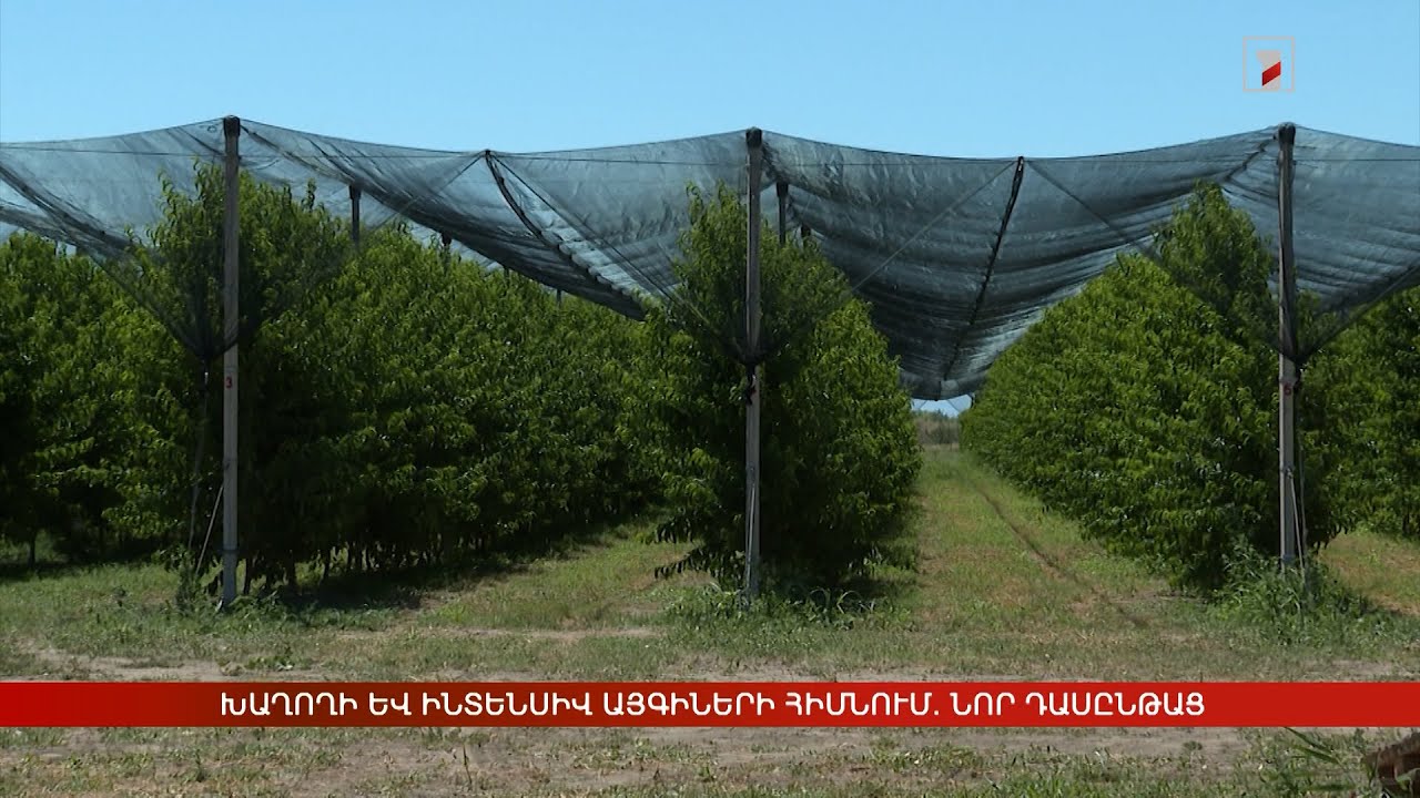 Խաղողի և ինտենսիվ այգիների հիմնում և կառավարում. նոր դասընթաց