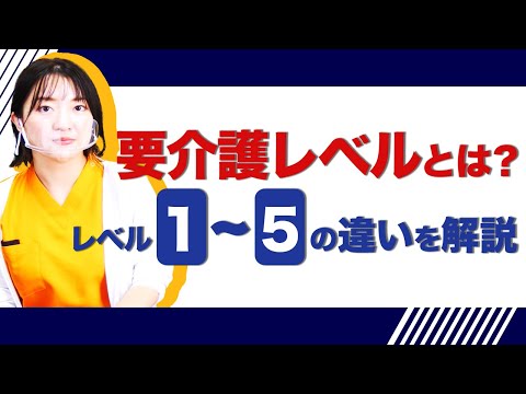 セベルについて詳しく解説