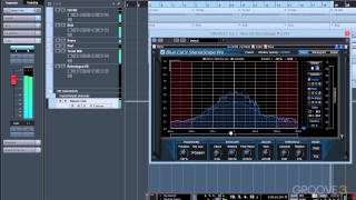 Video thumbnail for Blue Cat Audio - Stereoscope Pro by Groove3