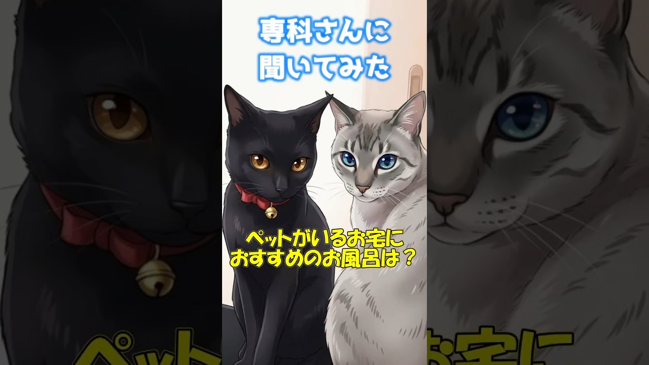 【動物のいる家こそタカラスタンダード】犬や猫と一緒に暮らしているならやはりここのお風呂！#タカラスタンダード#犬#猫#ペット#お風呂#リフォーム#水回り