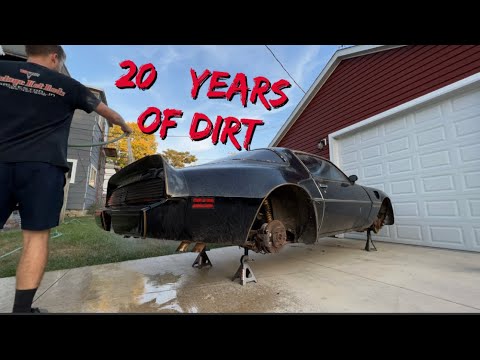 79 Trans Am First Wash in 20+ Years!!