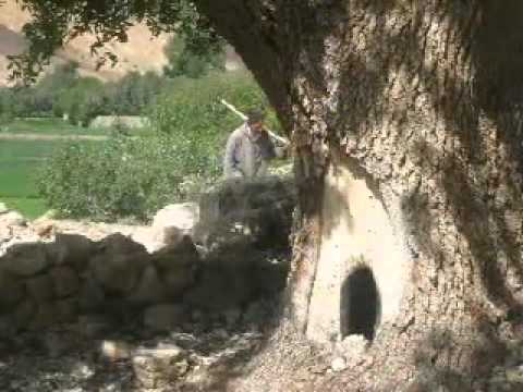 YouTube   oulad ali youssef