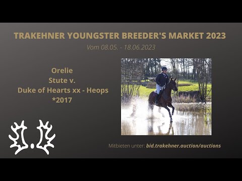 Orelie v. Duke of Hearts xx - Heops *2017 - Geländepferde A**