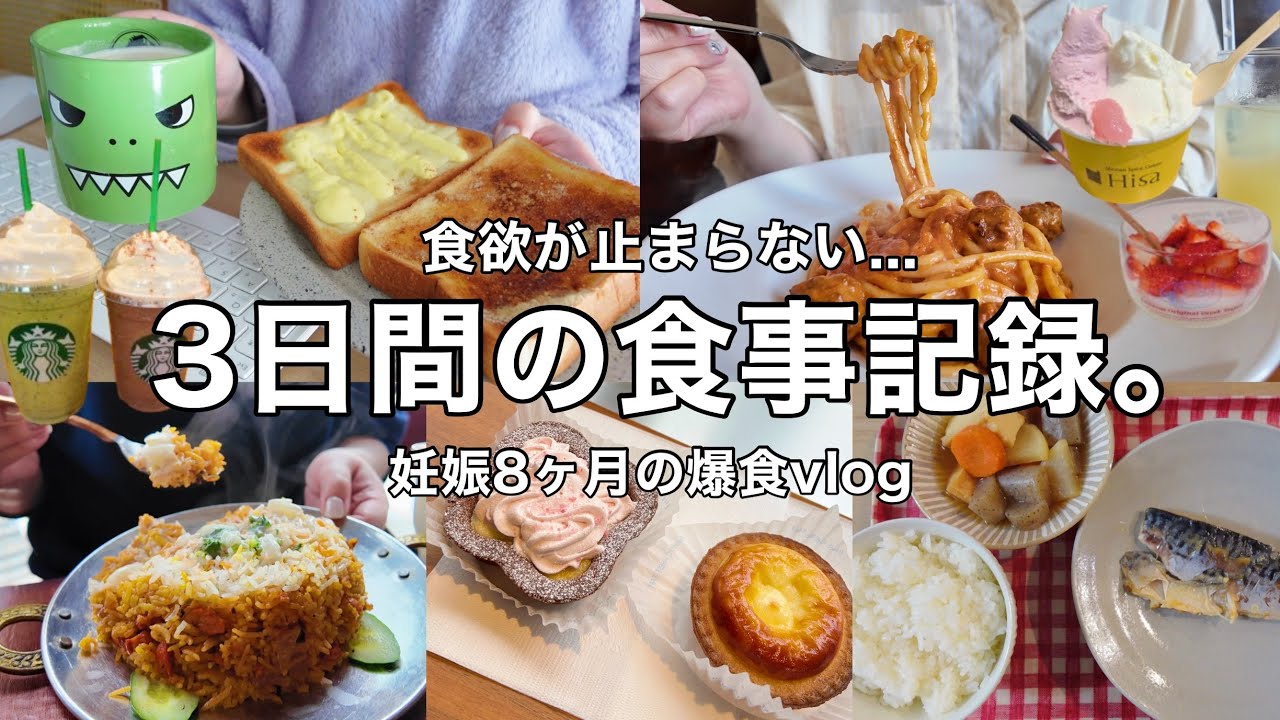 【3日間の食事】食欲が止まらない...爆食vlog😶‍🌫️🍚【妊娠8ヶ月】