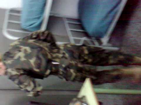 como cantan esas militares