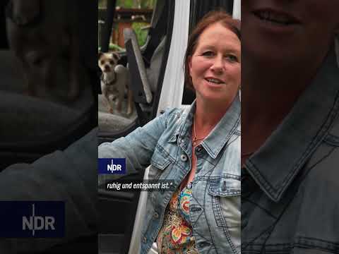 Video Thumbnail: Naturcamping direkt am See #ndr #ndrdoku #camping #mv