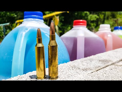 22-250 vs 243 - HOW MANY MILK JUGS???