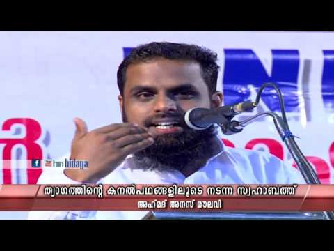 ത്യാഗത്തിന്റെ കനൽപഥങ്ങളിലൂടെ നടന്ന സ്വഹാബത്തു | Ahmad Anas Moulavi | Malayalam Speech
