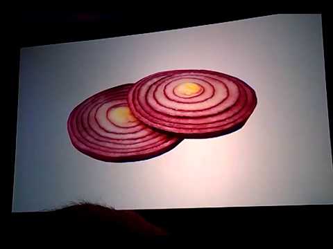 Embrace the Interface