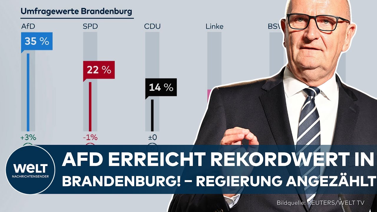UMFRAGE-BEBEN: AfD erreicht Rekordwert in Brandenburg! – Ruf nach Neuwahlen wir lauter!