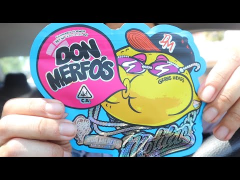 MOTITAS BACKPACK BOYZ EVENT LA | GOT TO MEET @Mrthc?!?!