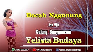 Download lagu Bocah Nggunung Calung Banyumasan, Ayu Vija YELISTA Budaya mp3 Download lagu Bocah Nggunung Calung Banyumasan, Ayu Vija YELISTA Budaya mp3