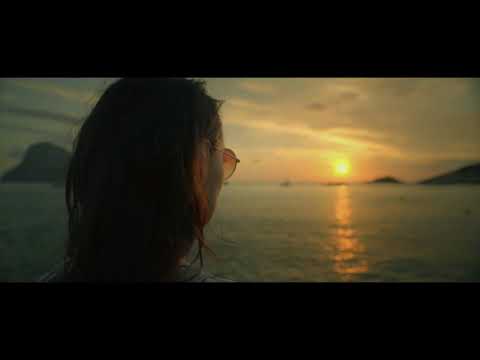 Dj AMiR X Zac Samuel Ft Moon Willis, Taya - Never Letting Go (Valentino Khan Deep Down Low MashUp)