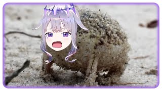 [Vtub] 這是一隻非常生氣的Biboo