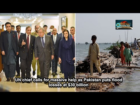 UN chief calls for massive help as Pakistan puts flood losses at $30 billion