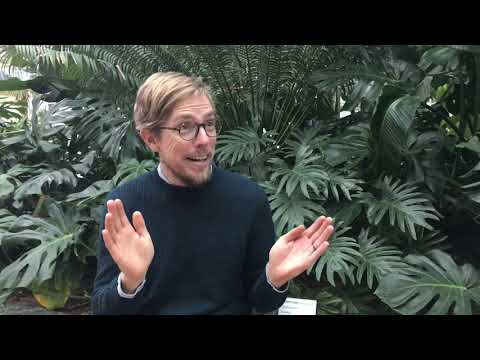 Anders Stålhand om sin trädgårdsresa