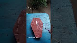 My cat funeral😭. what will i tell your mother😭. i made memorial for my cat. accident died today #rip