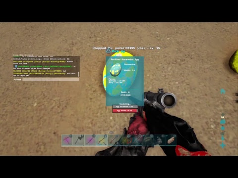 Breeding 190 lightning Wyvern and Nursery Showcase   EP 1