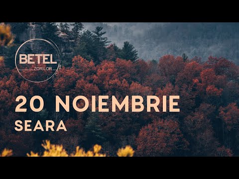 20 Noiembrie 2022 | Duminică seara