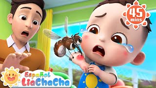 Ñi Ñi Mosquitos | Canción de los Mosquitos | LiaChaCha en Español - Canciones Infantiles
