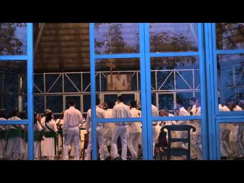 PROFESSOR - FLOR DE JAGUBE - MESTRE 81