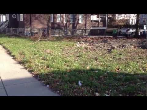 198 Woodrow Avenue, Dorchester, MA