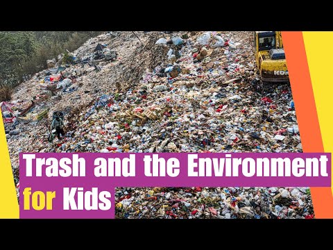 Trash and Environment for Kids | How Trash Effects the Environment | Lesson Boosters