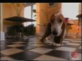 EyeMasters Television Commercial 1994