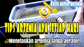 Download lagu How to Hatch Artemia Without Air Pump mp3 Download lagu How to Hatch Artemia Without Air Pump mp3